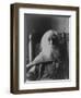 Walt Whitman American Poet, in 1991, the Last Year of His Life, Thomas Eakins-null-Framed Art Print