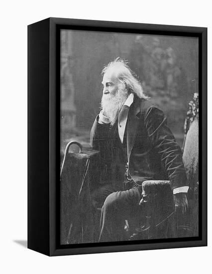 Walt Whitman, American Poet-Science Source-Framed Stretched Canvas