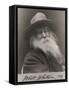Walt Whitman, American Poet-Science Source-Framed Stretched Canvas