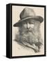 Walt Whitman American Poet-null-Framed Stretched Canvas