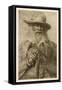 Walt Whitman American Writer-null-Framed Stretched Canvas