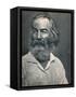 'Walt Whitman', c1862, (1939)-Mathew Brady-Framed Stretched Canvas