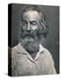 'Walt Whitman', c1862, (1939)-Mathew Brady-Stretched Canvas