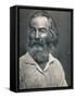 'Walt Whitman', c1862, (1939)-Mathew Brady-Framed Stretched Canvas