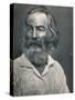 'Walt Whitman', c1862, (1939)-Mathew Brady-Stretched Canvas