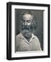 'Walt Whitman', c1862, (1939)-Mathew Brady-Framed Photographic Print
