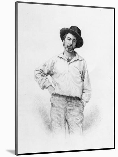 Walt Whitman, Frontispiece to 'Leaves of Grass', 1855 (Engraving)-American-Mounted Giclee Print