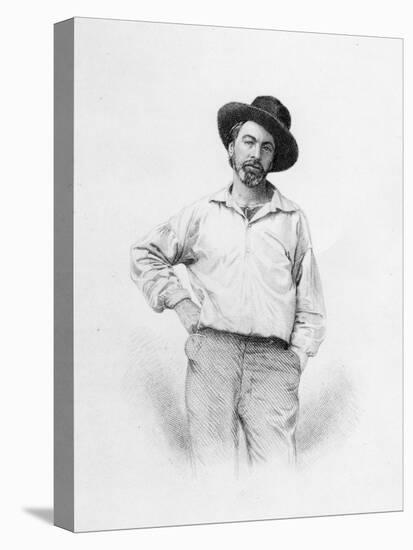 Walt Whitman, Frontispiece to 'Leaves of Grass', 1855 (Engraving)-American-Stretched Canvas