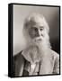 Walt Whitman, Portrait by Napoleon Sarony-Napoleon Sarony-Framed Stretched Canvas