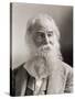 Walt Whitman, Portrait by Napoleon Sarony-Napoleon Sarony-Stretched Canvas