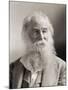 Walt Whitman, Portrait by Napoleon Sarony-Napoleon Sarony-Mounted Photographic Print