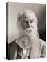 Walt Whitman, Portrait by Napoleon Sarony-Napoleon Sarony-Stretched Canvas