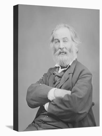 Walt Whitman Portrait Circa 1861-1865-Stocktrek Images-Stretched Canvas