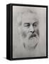 Walt Whitman-null-Framed Stretched Canvas