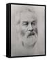 Walt Whitman-null-Framed Stretched Canvas