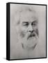 Walt Whitman-null-Framed Stretched Canvas