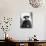 Walt Whitman-null-Mounted Premium Photographic Print displayed on a wall