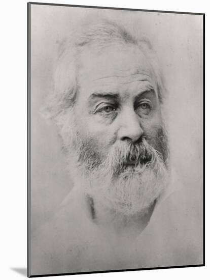 Walt Whitman-null-Mounted Photo