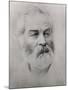 Walt Whitman-null-Mounted Photo