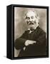 Walt Whitman-Mathew Brady-Framed Stretched Canvas