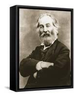 Walt Whitman-Mathew Brady-Framed Stretched Canvas