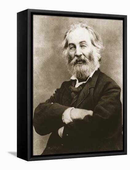 Walt Whitman-Mathew Brady-Framed Stretched Canvas