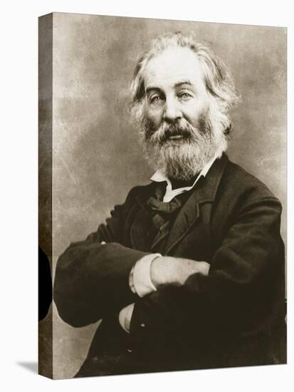 Walt Whitman-Mathew Brady-Stretched Canvas