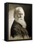 Walt Whitman-Moritz Klinkicht-Framed Stretched Canvas
