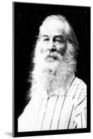 Walt Whitman-Mathew Brady-Mounted Photo