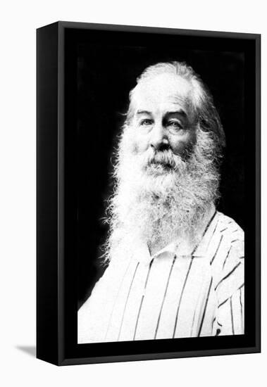 Walt Whitman-Mathew Brady-Framed Stretched Canvas