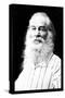 Walt Whitman-Mathew Brady-Stretched Canvas