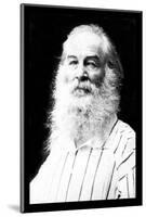 Walt Whitman-Mathew Brady-Mounted Photo