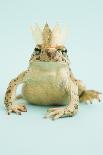 Frog and Lizard Wearing Crowns-Walter B. McKenzie-Photographic Print