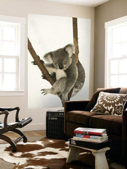 Giant Art Print, , large