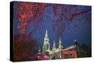 Stretched Canvas