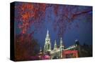 Stretched Canvas