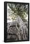 Essential Black