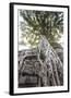 Chelsea Black