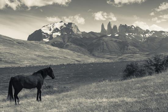 Photographic Print, , large