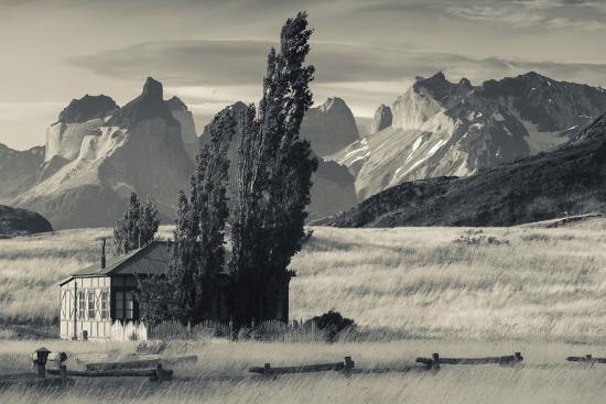 Photographic Print, , large
