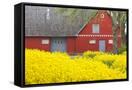 Canvas Black