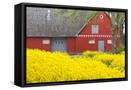Canvas Black