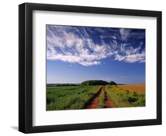 Premium Photographic Print, , large