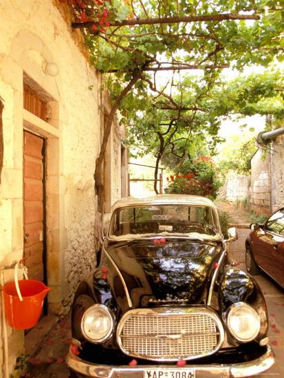 Premium Photographic Print, , large