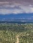Laminate