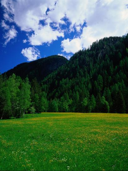 Premium Photographic Print, , large