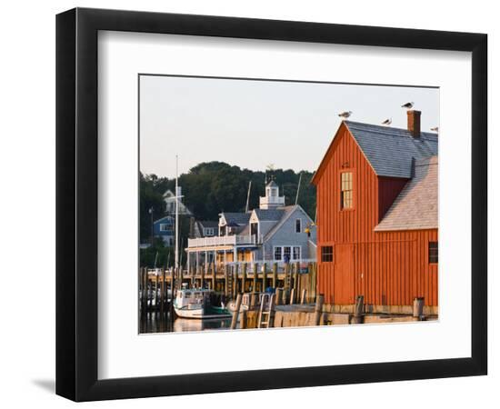 Premium Photographic Print, , large