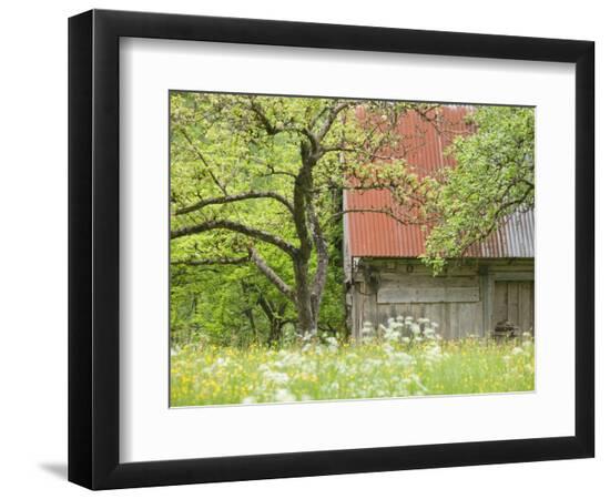 Photographic Print, , large