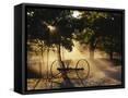 Canvas Black