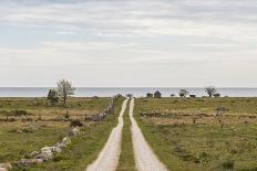Sweden, Gotland Island, Sundre, country road, southern Gotland-Walter Bibikow-Photographic Print